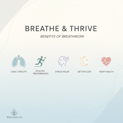 Benefits Infographic - Clean